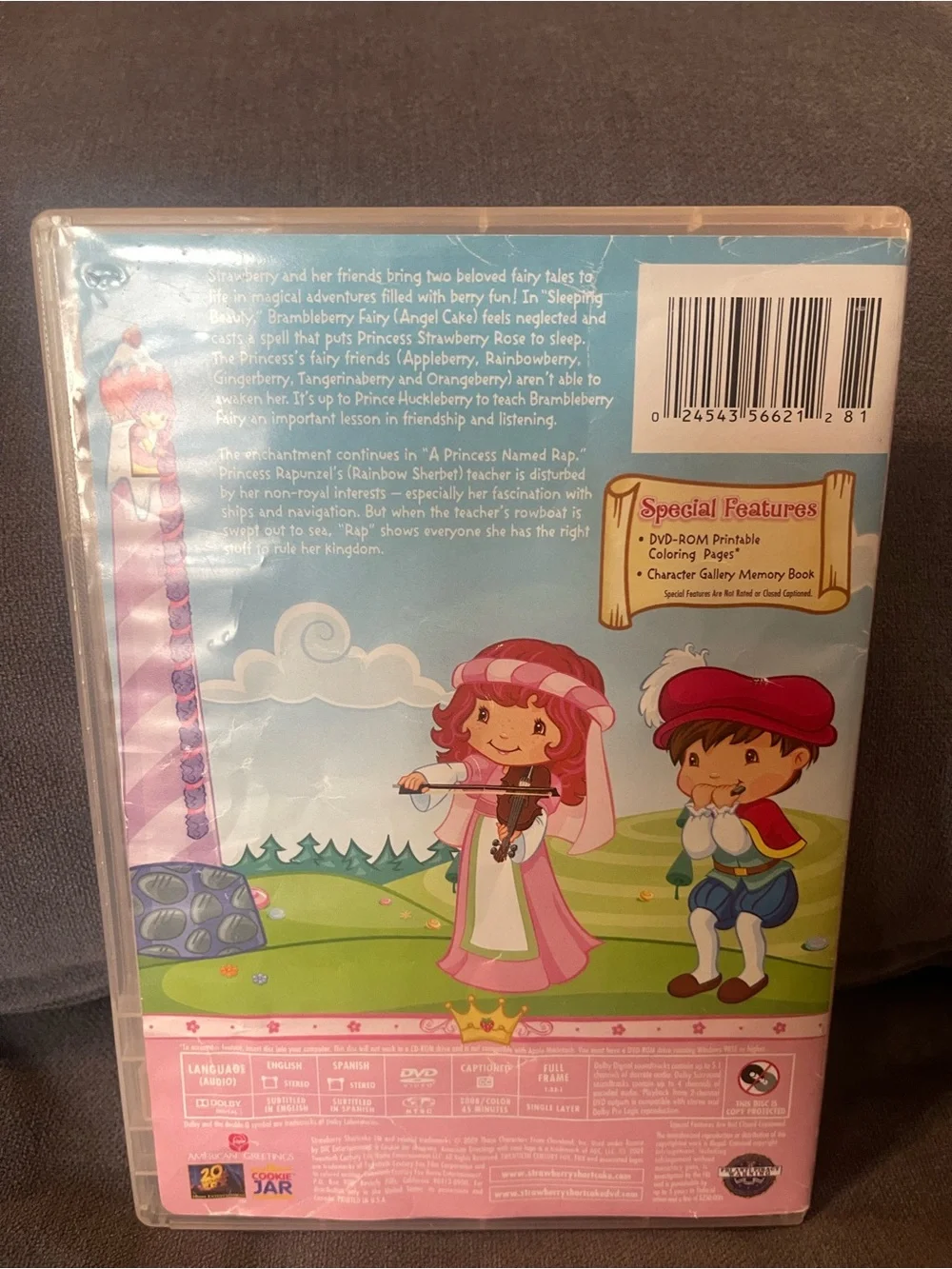 Strawberry Shortcake Happily Ever After - Pink Party Decoration